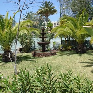 San Valentin & Terraflor Park